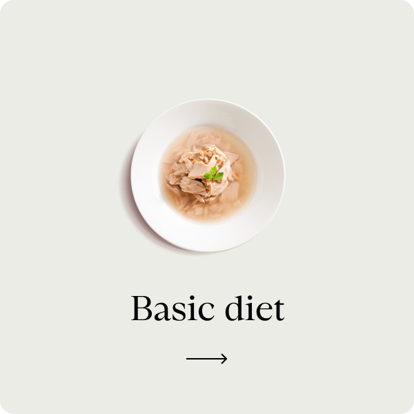 Dieta di base