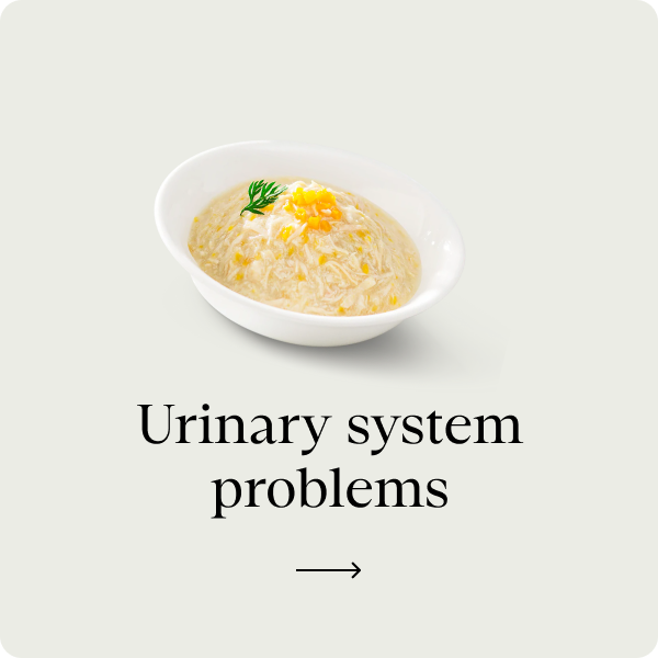 Problemi al sistema urinario
