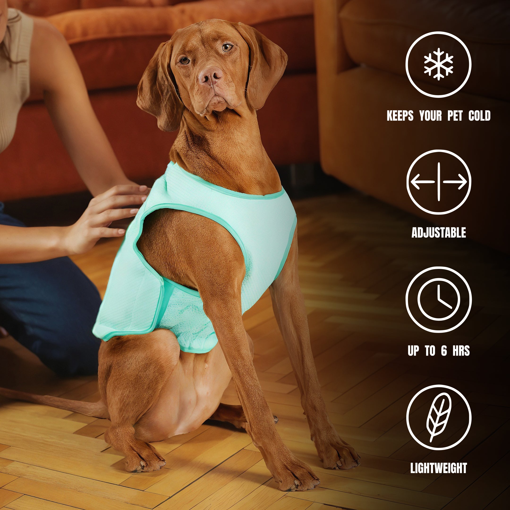 Set di raffreddamento da spiaggia di qualità | di GF Pet of Canada | Cane di grossa taglia