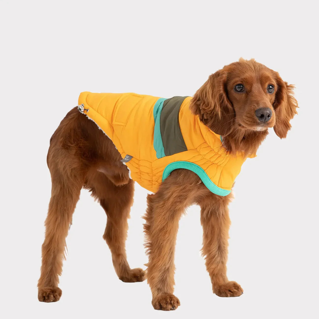 Giacca per cani GF Pet Alpine | Cappotto invernale impermeabile Elasto-Fit®