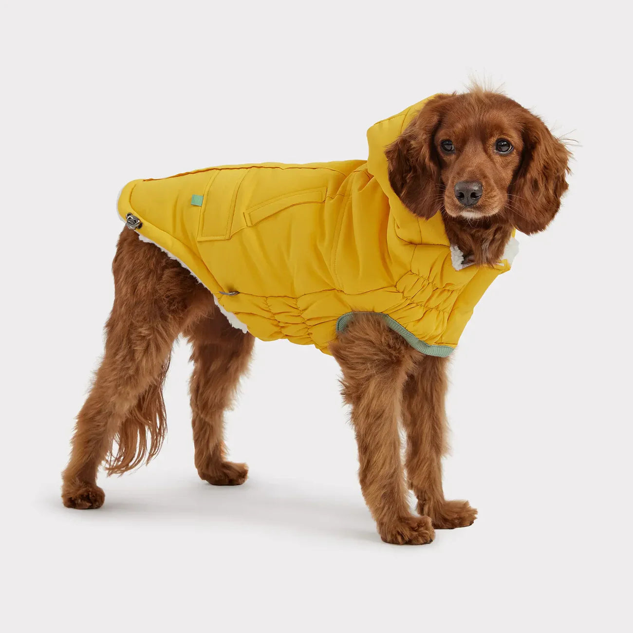 Parka per cani Arctic GF Pet | Cappotto invernale isolante Elasto-Fit®