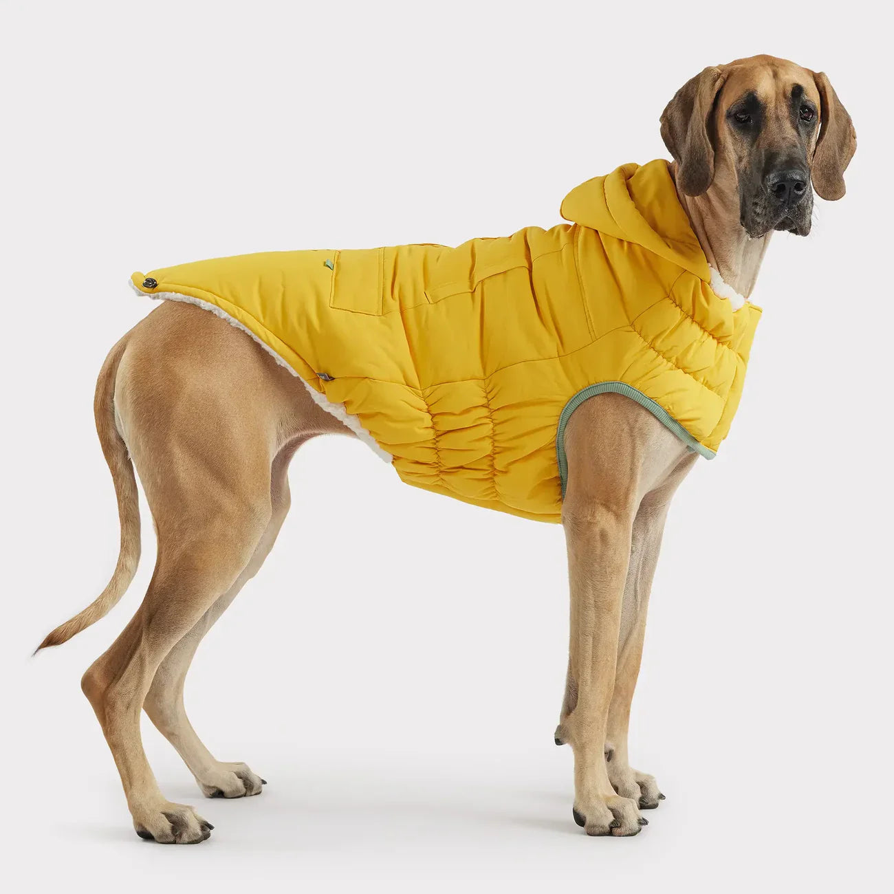 Parka per cani Arctic GF Pet | Cappotto invernale isolante Elasto-Fit®