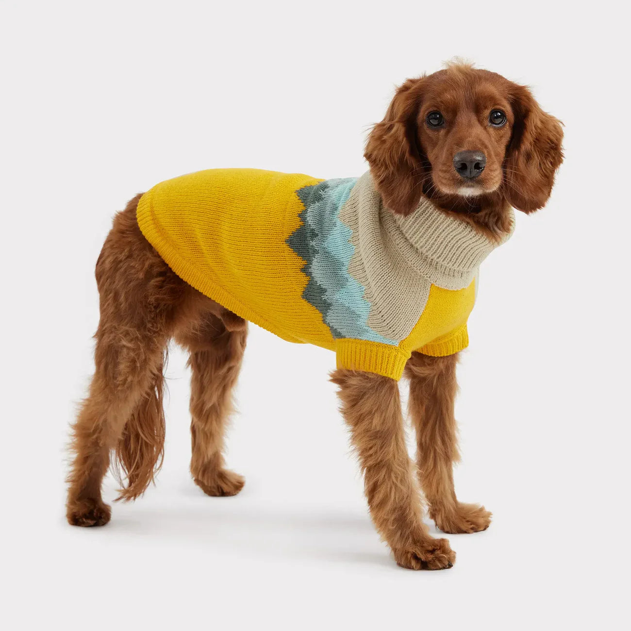 Maglione per cani GF Pet Fireside | Maglione in maglia accogliente con fascino vintage