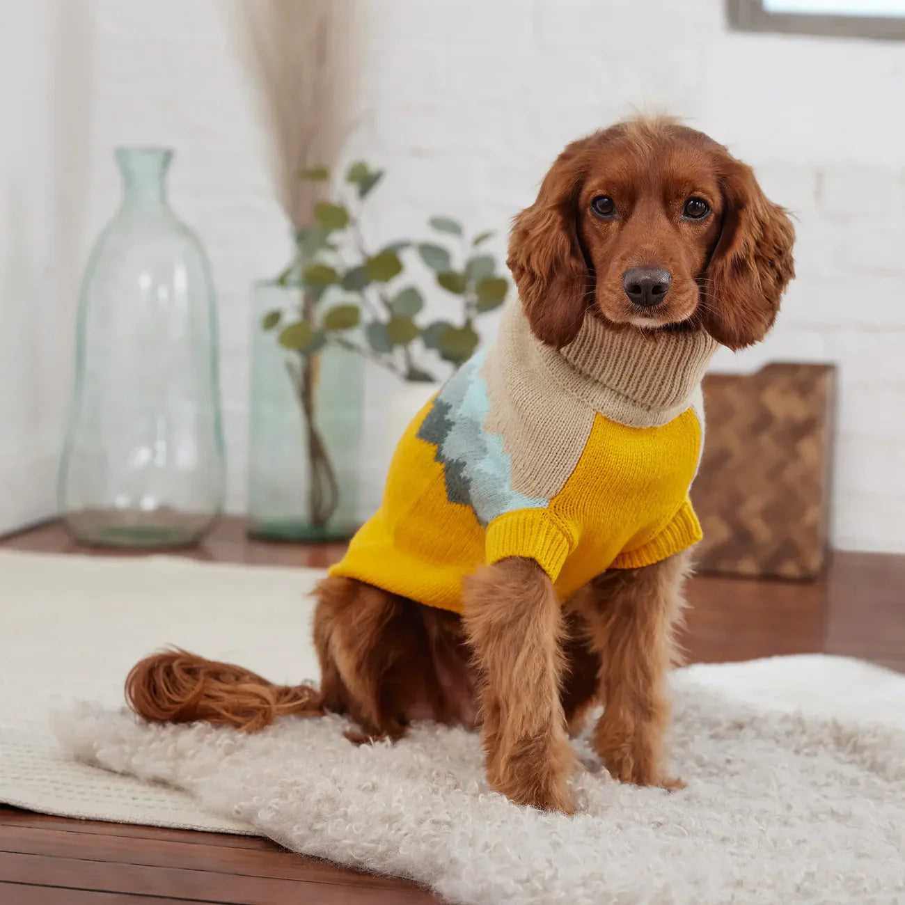 Maglione per cani GF Pet Fireside | Maglione in maglia accogliente con fascino vintage