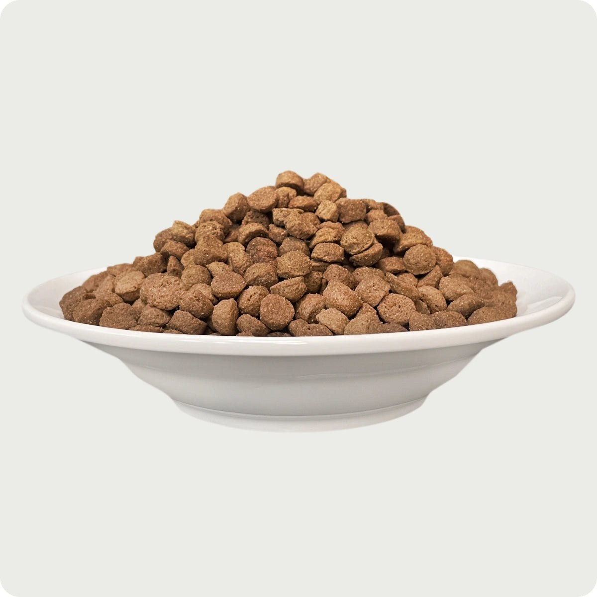 Chérie Dry Food Formula Grain-Free Salmon Enrées 2kg. + 2 lattine di cibo umido in omaggio.