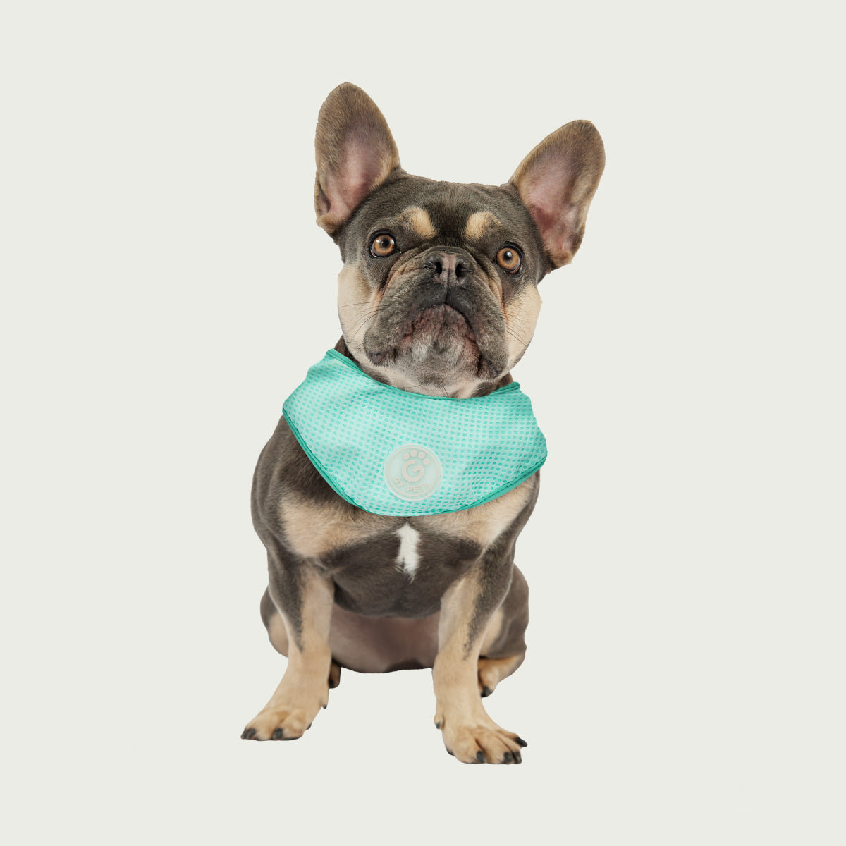  Bandana Rinfrescante per Cani | GF Pet Canada | Azzurro Cristallo
