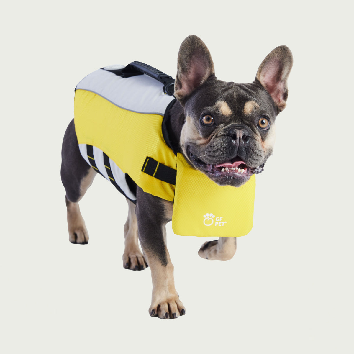 Giubbotto di Salvataggio per Cani | GF Pet Canada | Giallo