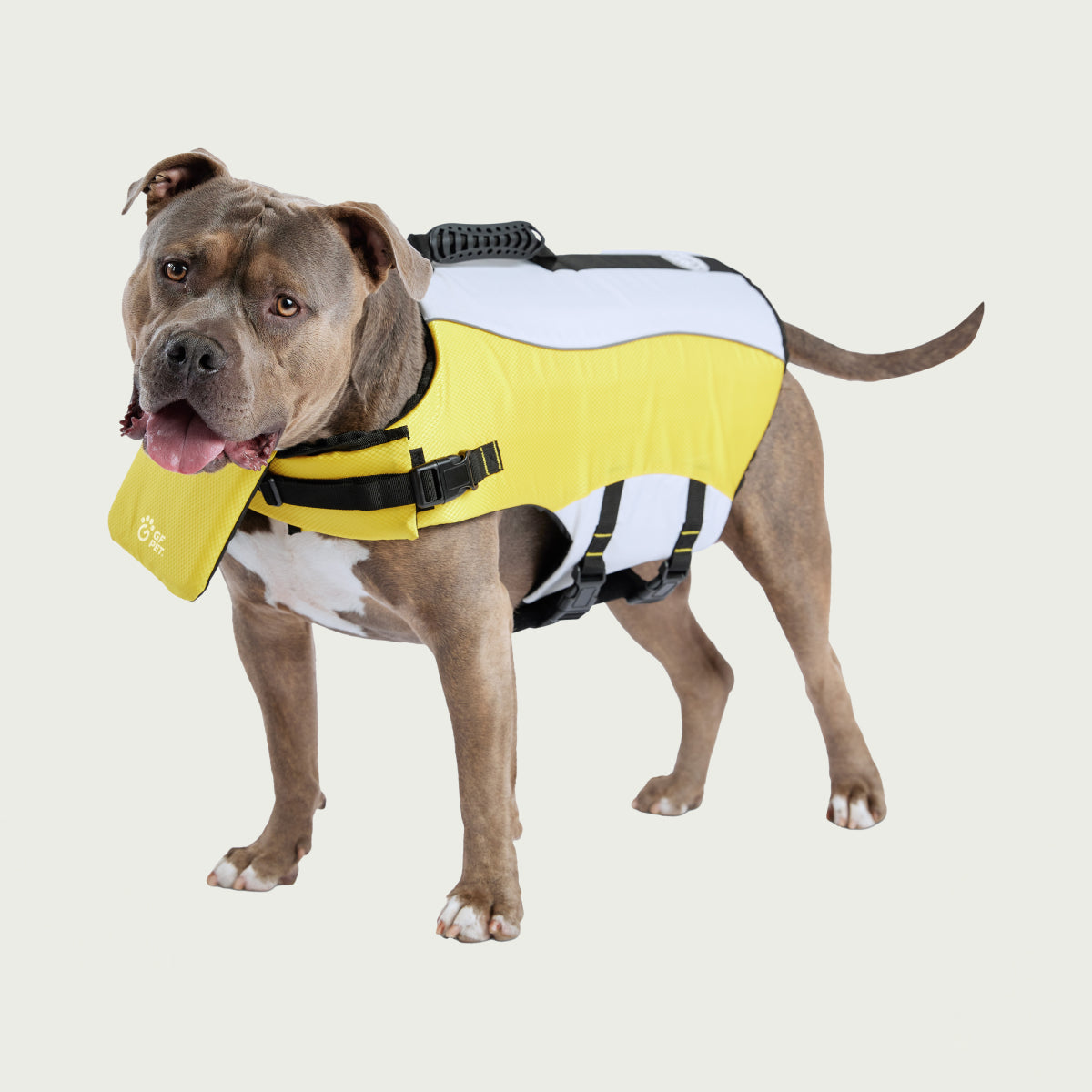 Giubbotto di Salvataggio per Cani | GF Pet Canada | Giallo