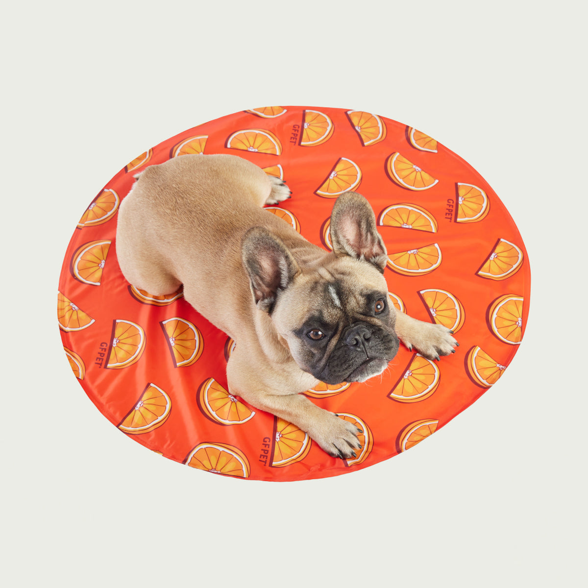 Tappetino Rinfrescante per Cani | GF Pet Canada | Colori Misti
