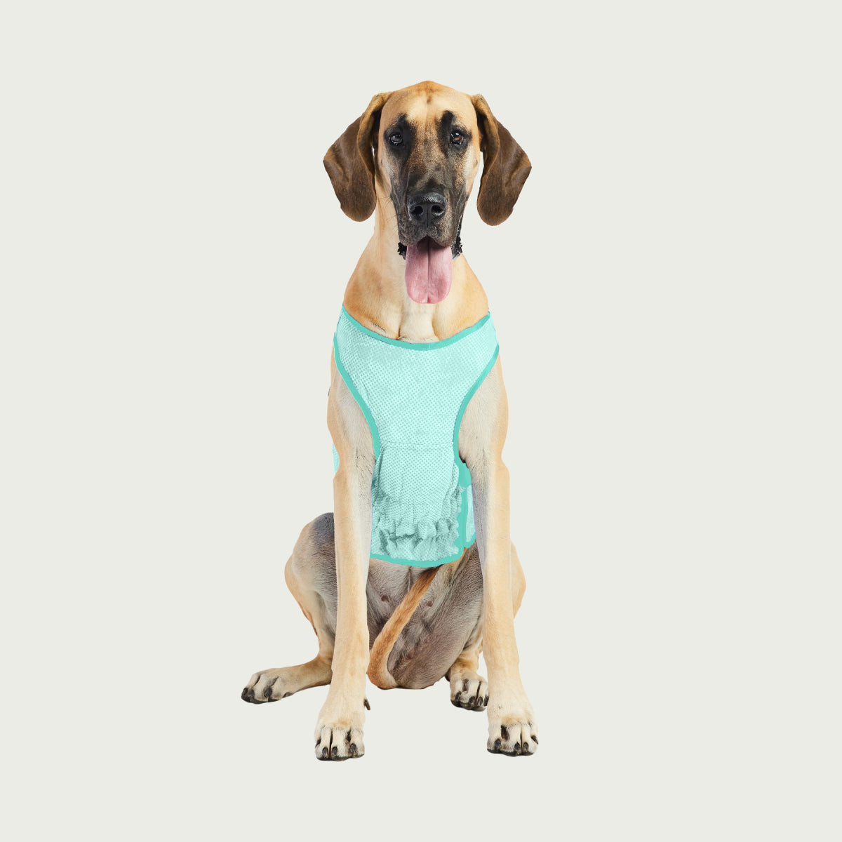 Gilet refrigerante per cani® | GF Pet of Canada | Acquamarina