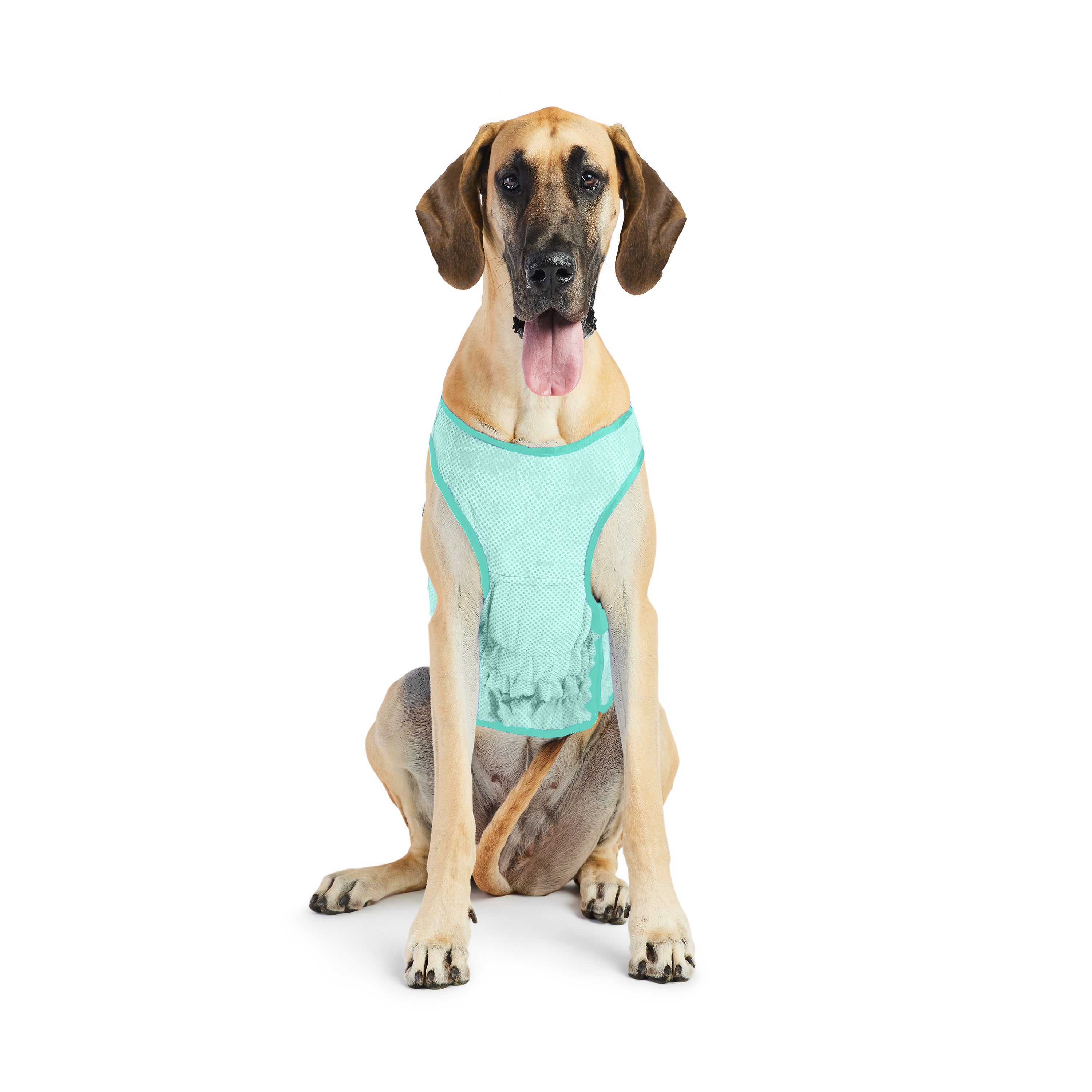 Gilet refrigerante per cani® | GF Pet of Canada | Acquamarina