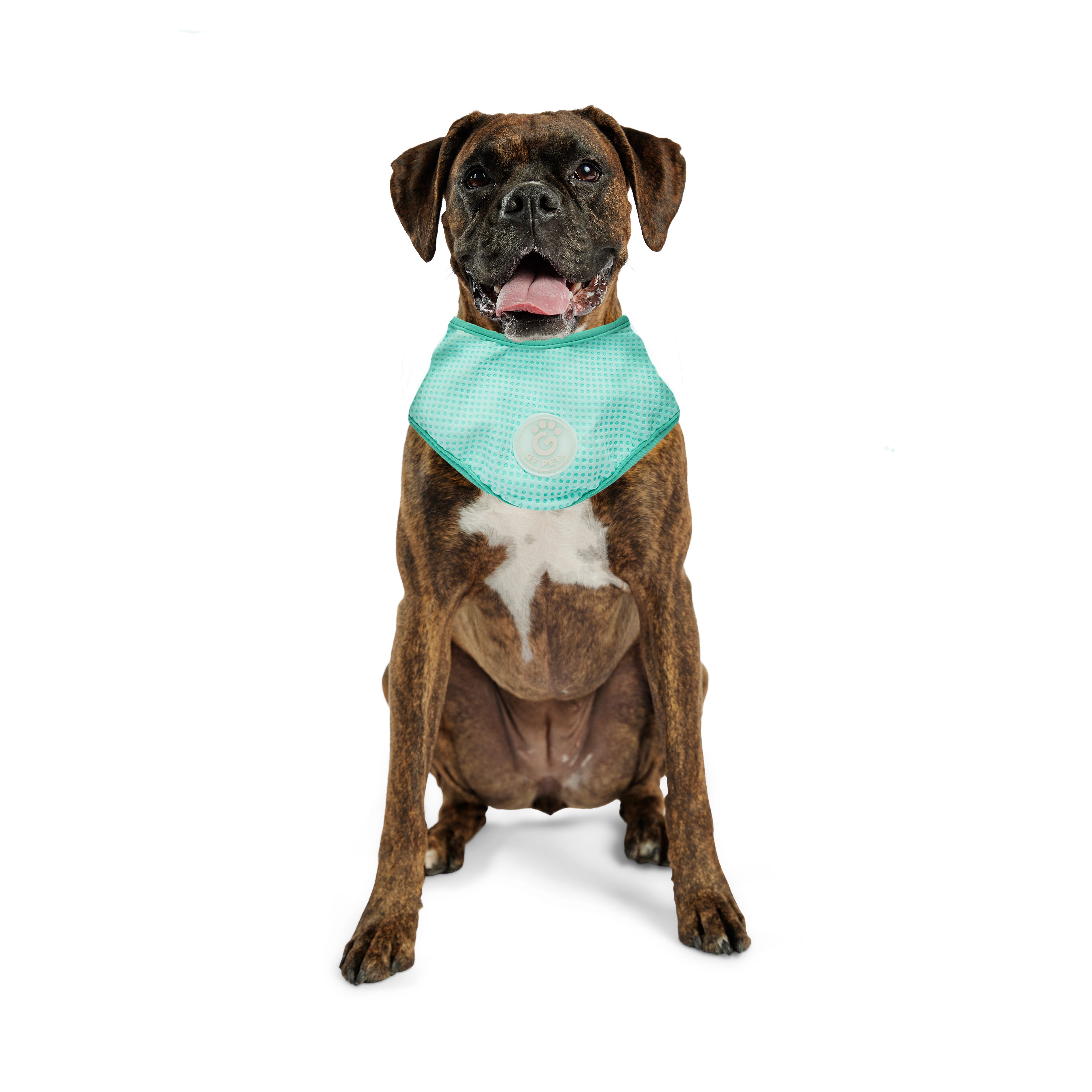  Bandana Rinfrescante per Cani | GF Pet Canada | Azzurro Cristallo
