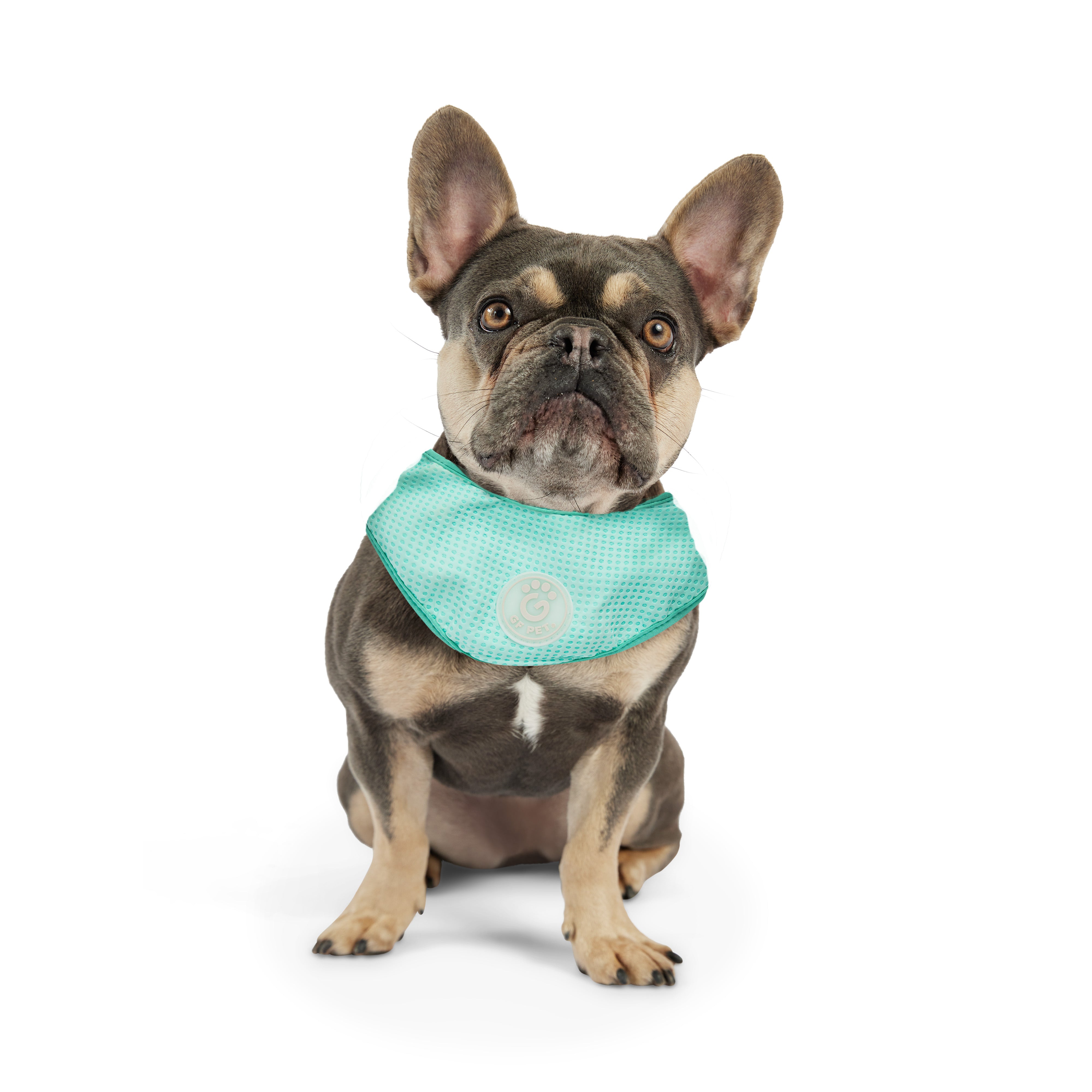  Bandana Rinfrescante per Cani | GF Pet Canada | Azzurro Cristallo