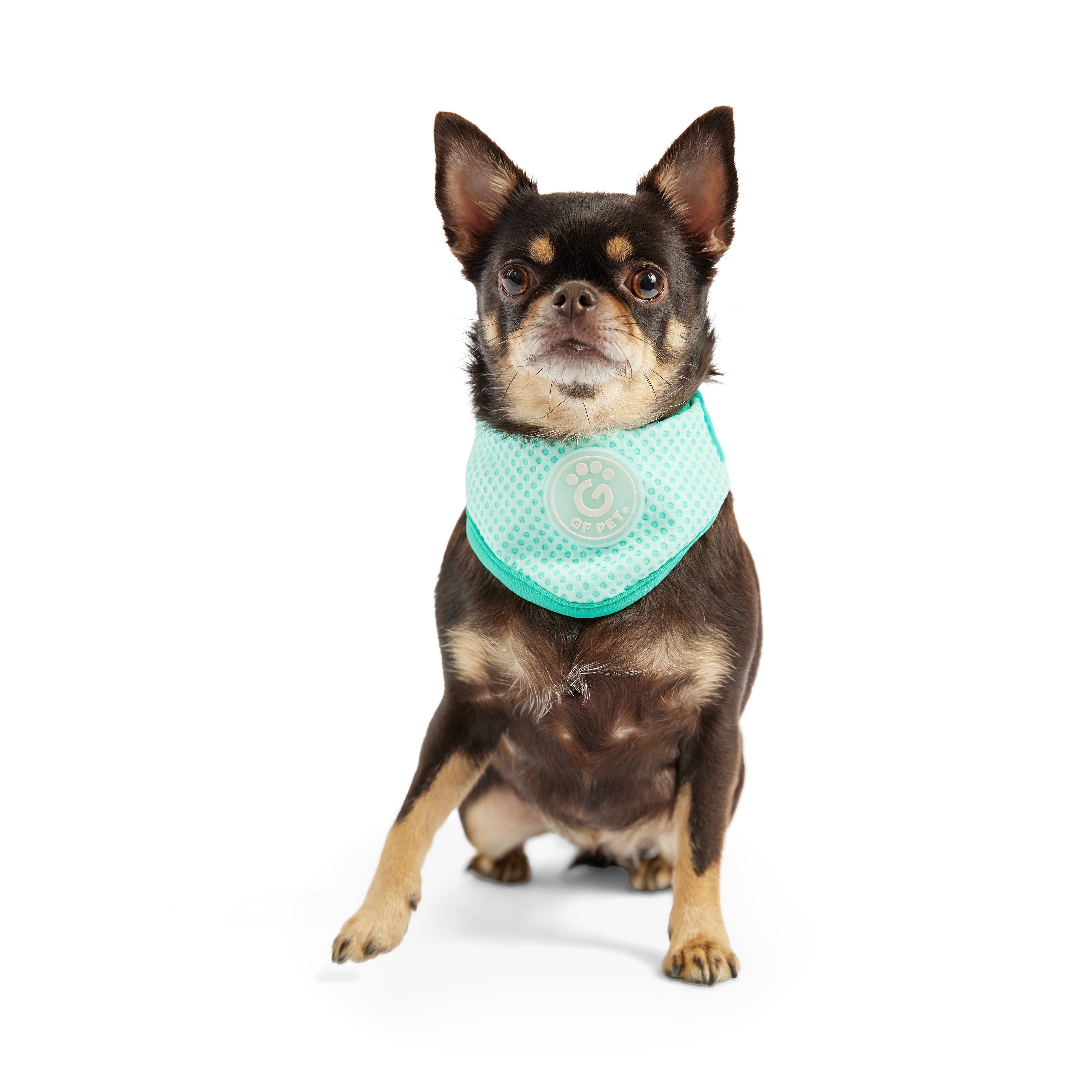  Bandana Rinfrescante per Cani | GF Pet Canada | Azzurro Cristallo