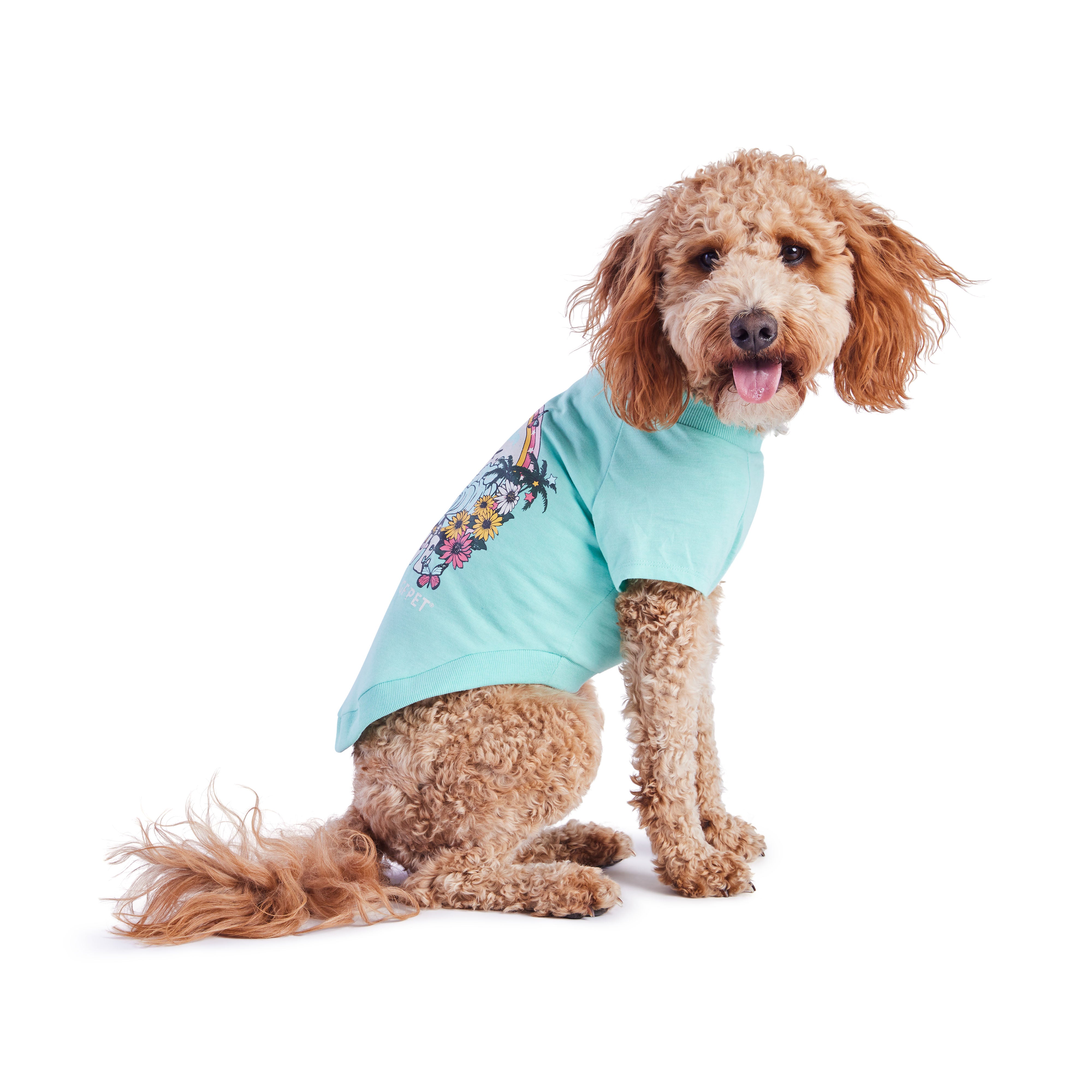 Maglietta Estiva per Cani | Collezione Autunno/Inverno | GF Pet | Azzurro Chiaro 