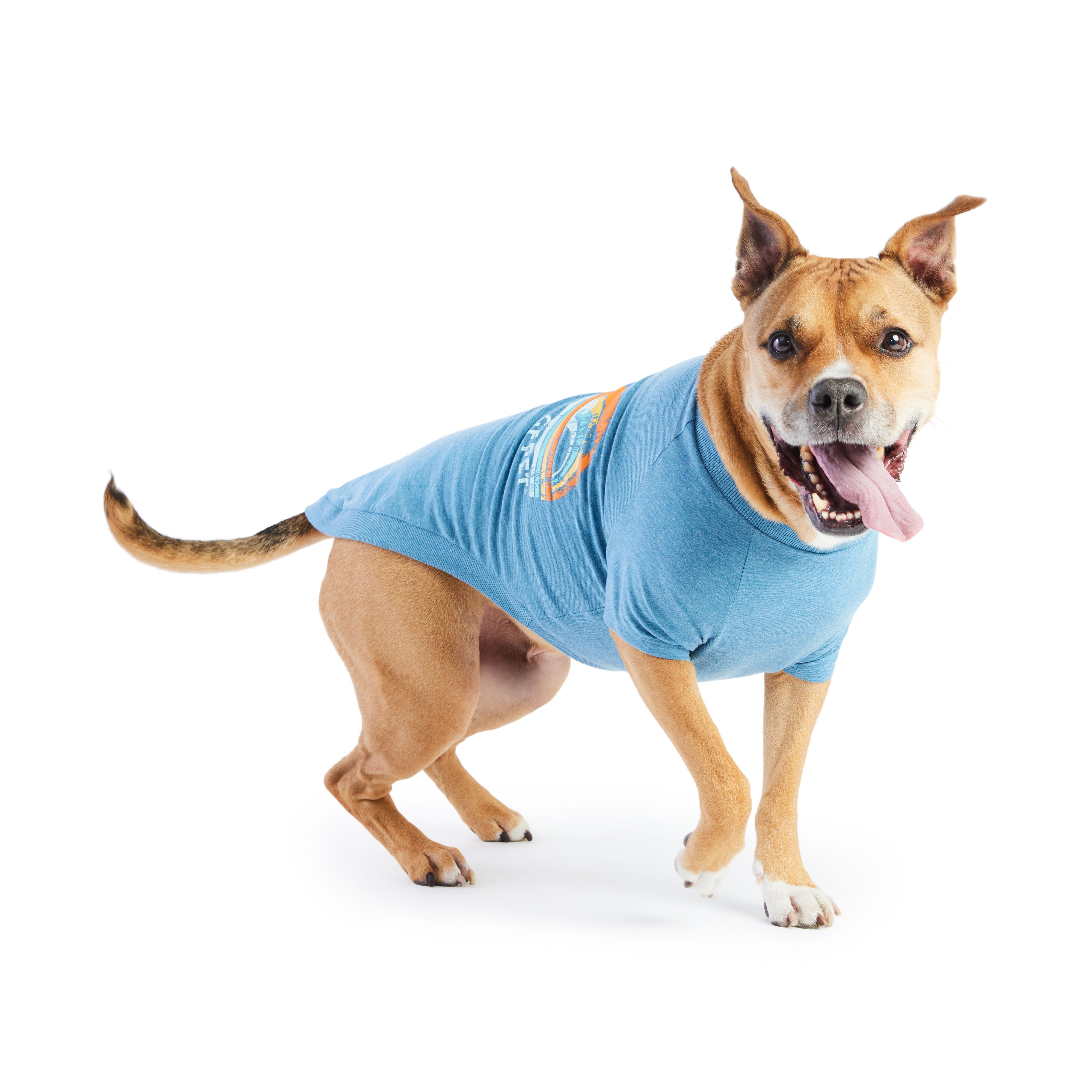 Maglietta Estiva per Cani | Collezione Autunno/Inverno | GF Pet | Blu Mare 