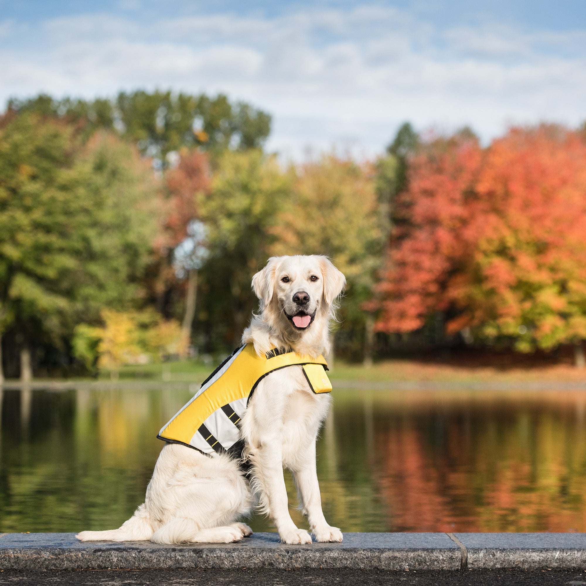 Set di raffreddamento da spiaggia di qualità | di GF Pet of Canada | Cane di grossa taglia