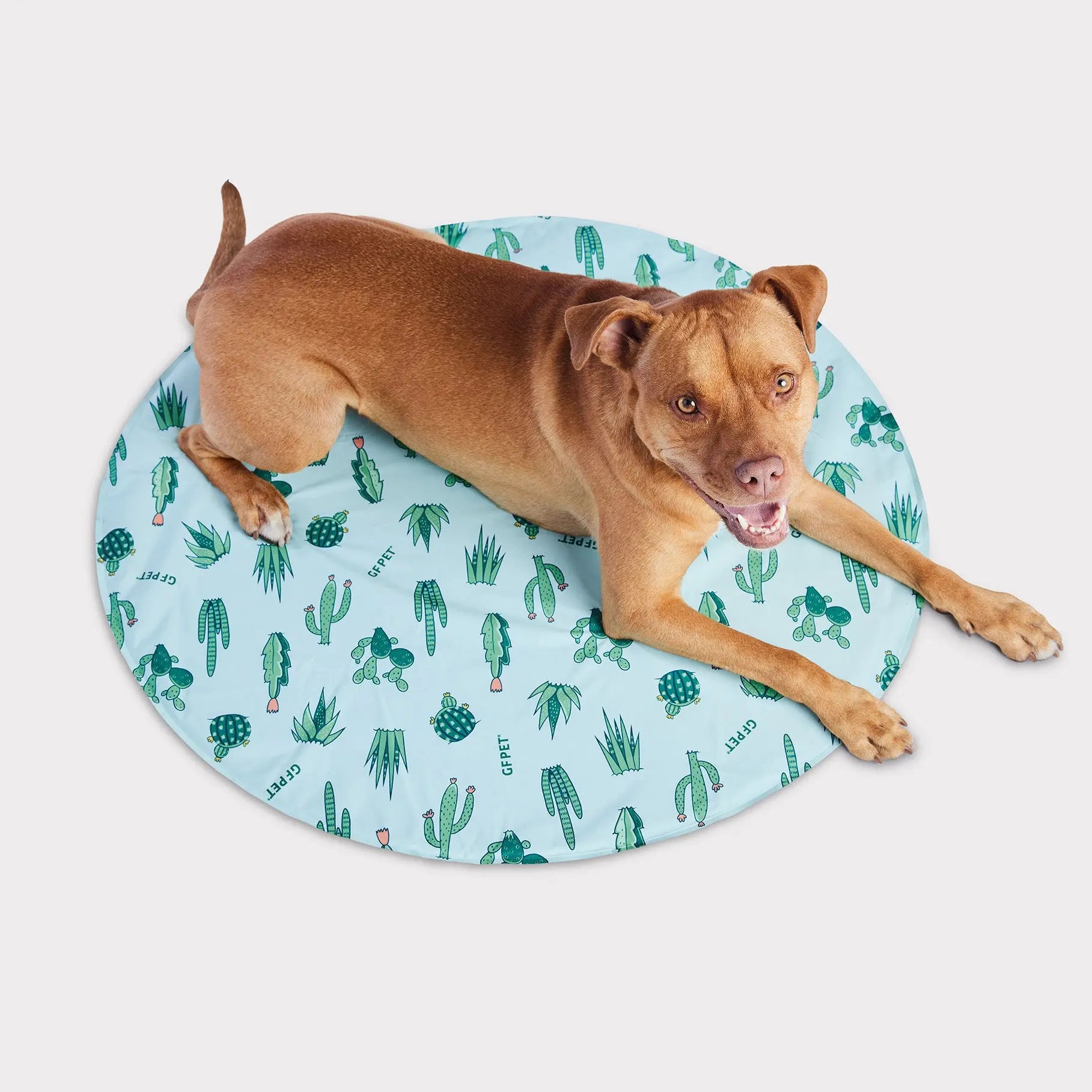 Tappetino Rinfrescante per Cani | GF Pet Canada | Colori Misti