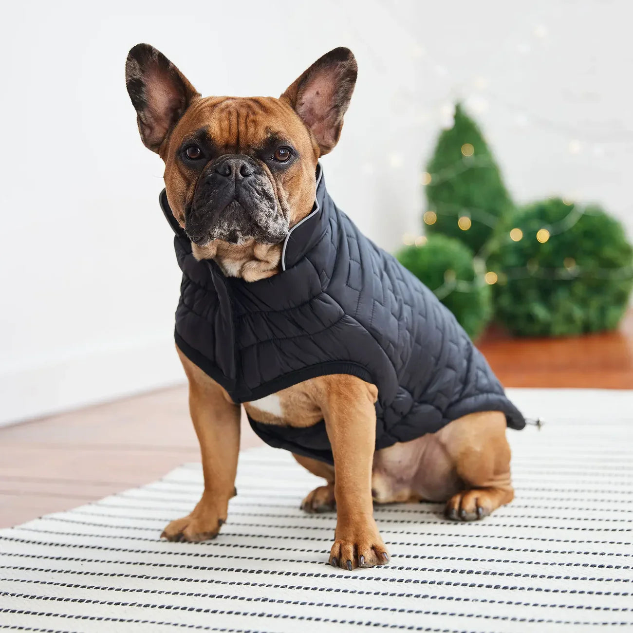 Giacca reversibile Chalet GF Pet | Cappottino invernale per cani Elasto-Fit®