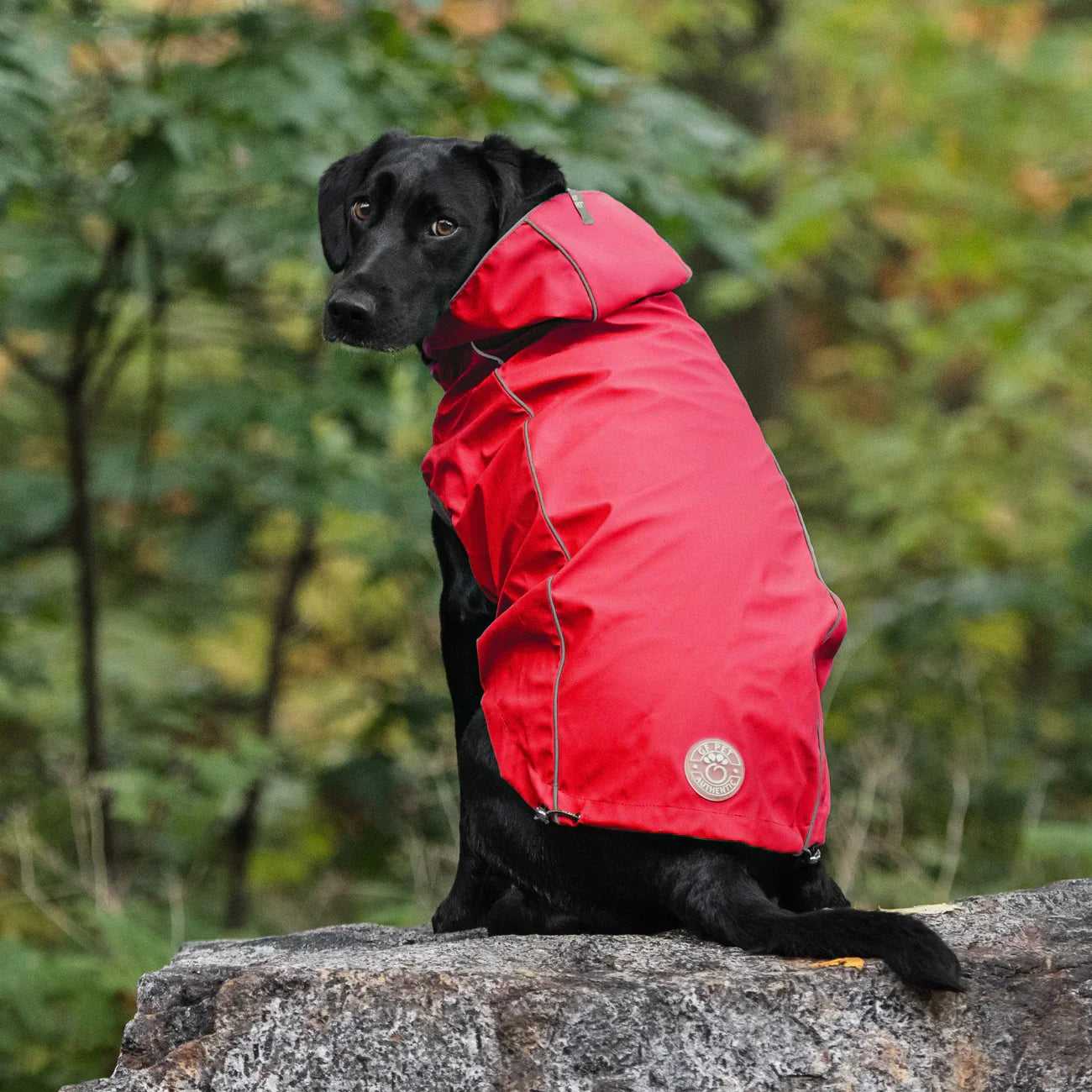 Impermeabile reversibile per cani GF Pet | Giacca impermeabile rossa e gialla