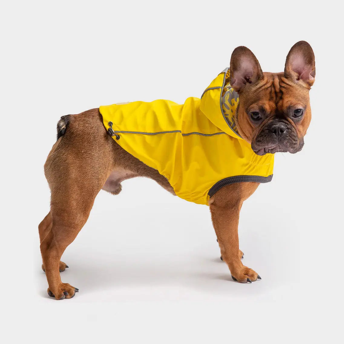 Impermeabile reversibile per cani GF Pet | Giacca impermeabile gialla e blu navy