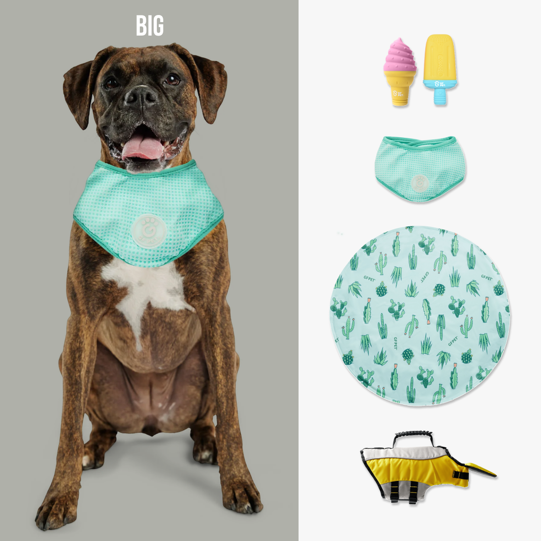 Set di raffreddamento da spiaggia di qualità | di GF Pet of Canada | Cane di grossa taglia