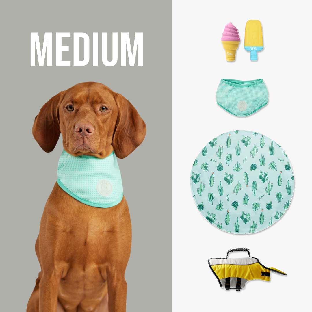 Set rinfrescante da spiaggia di qualità | di GF Pet of Canada | Cane di taglia media